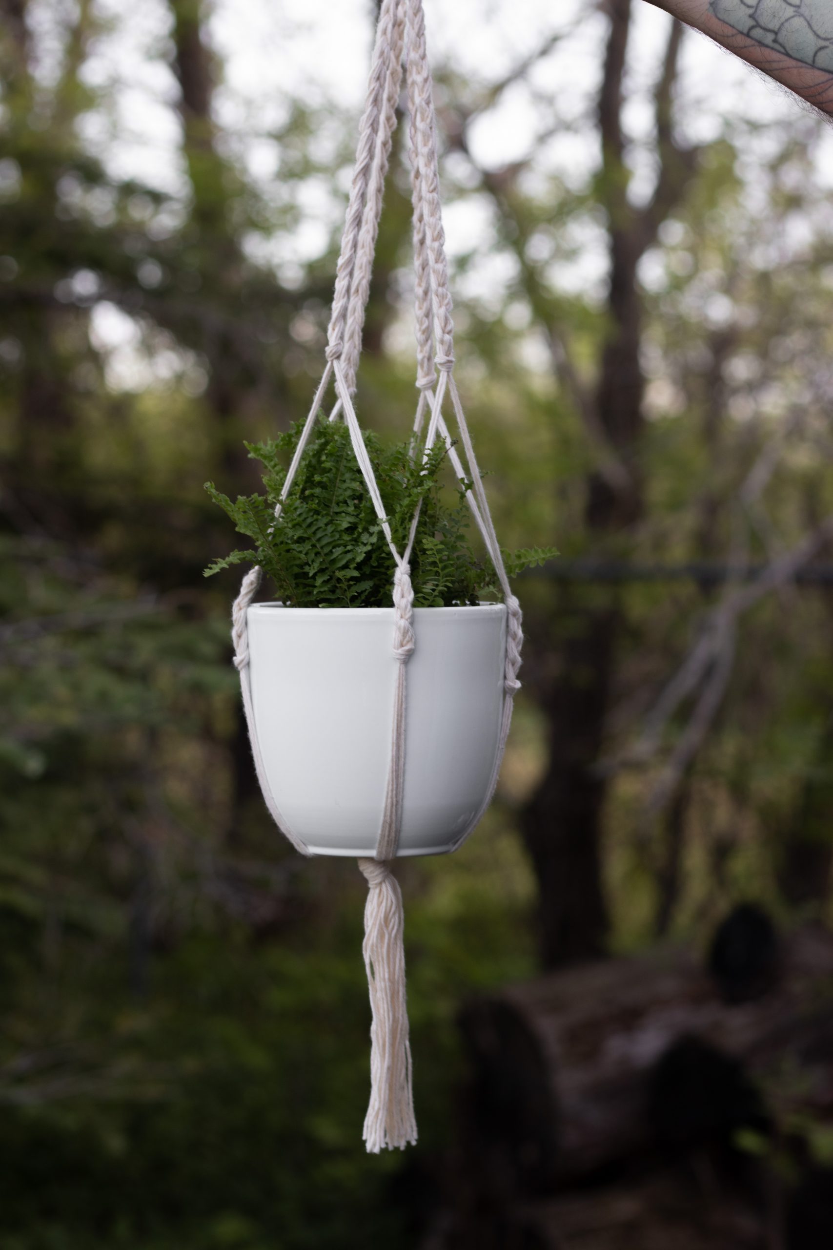 Easy Hanging Planter