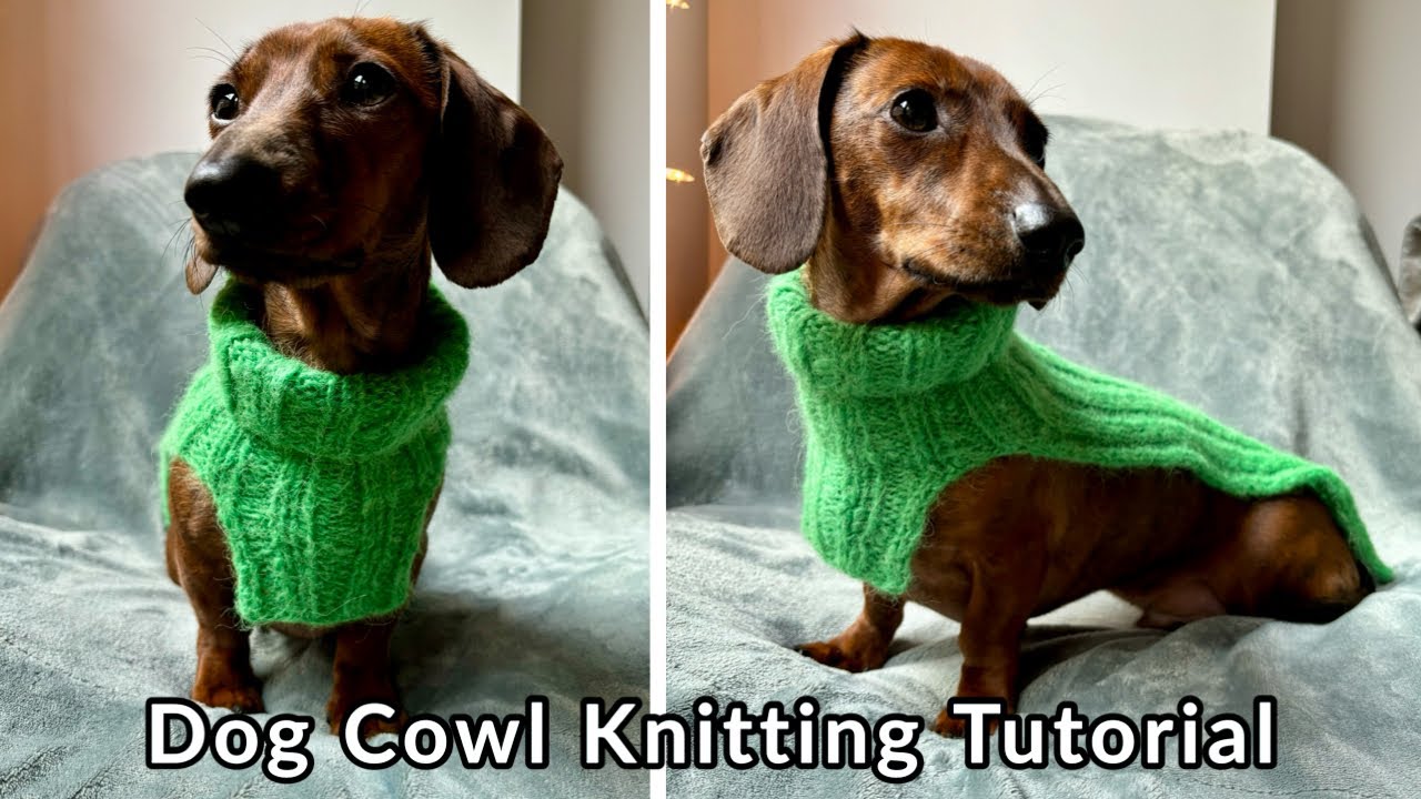 Make It Green Dog Cowl