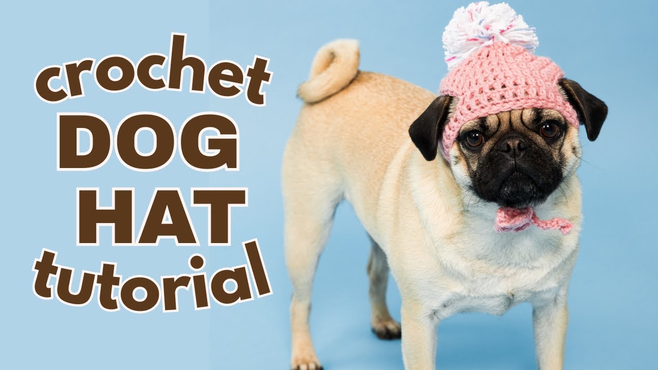 How to Crochet a Dog Hat 🐶 | Small Dog Crochet Hat Tutorial