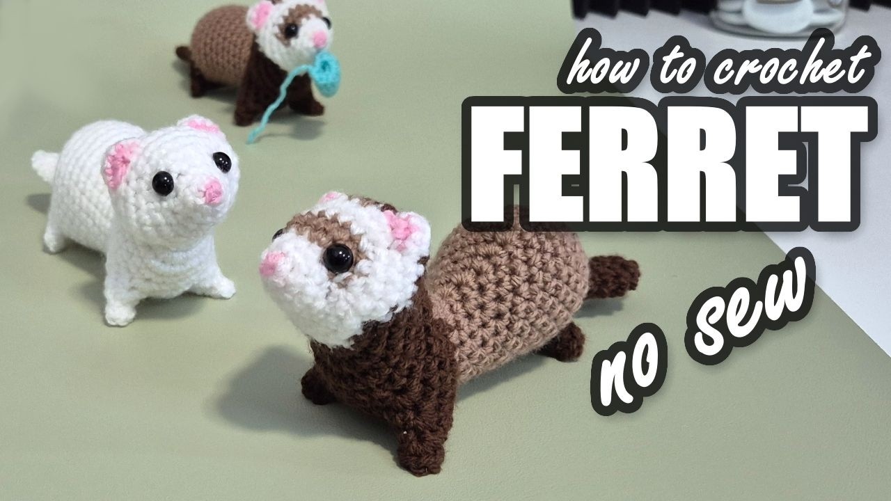 Ferret