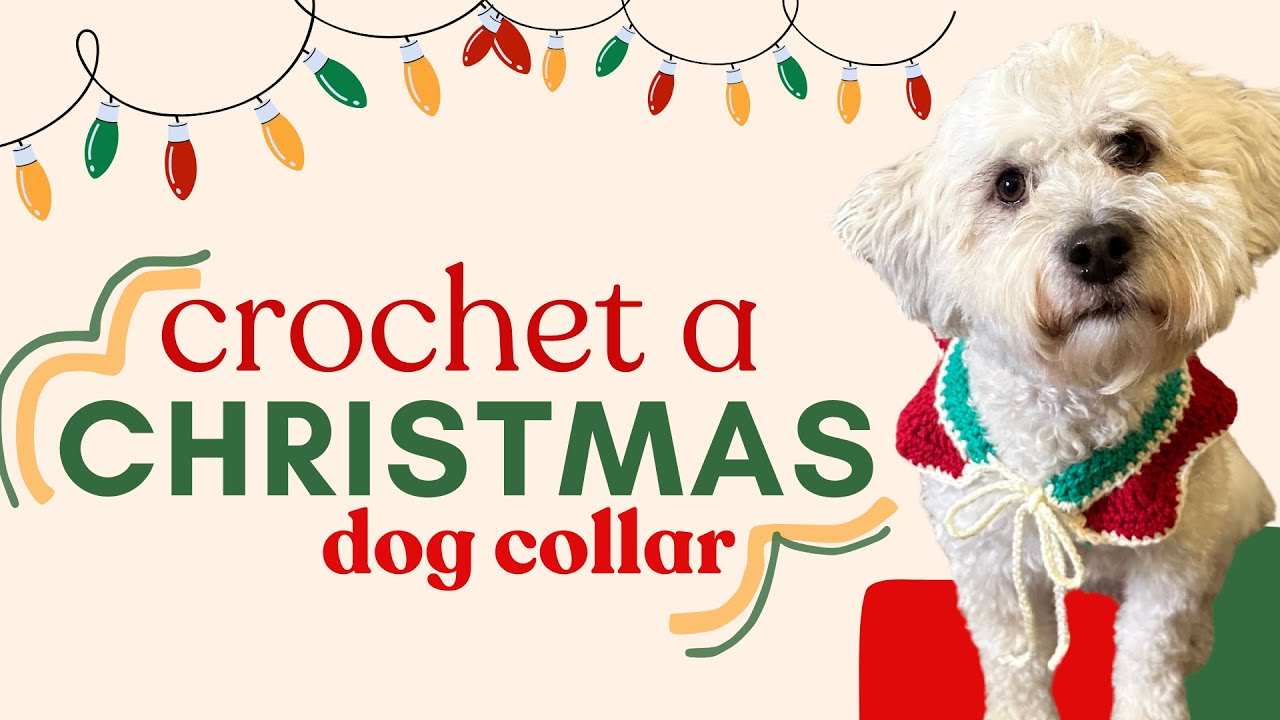 Make a Christmas dog collar! (crochet tutorial)