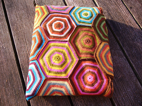 Phazelia's Laptop case