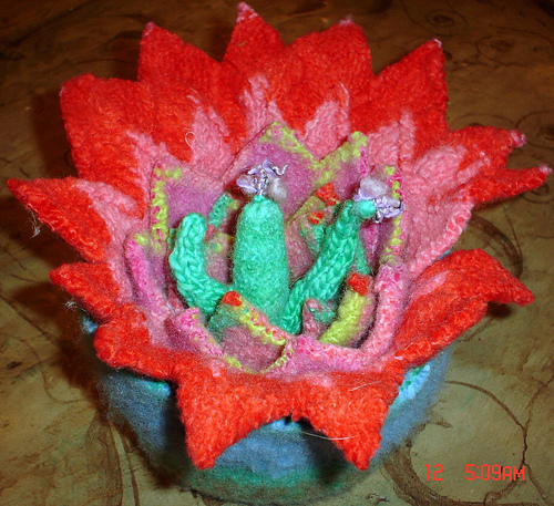 Cactus Cakes