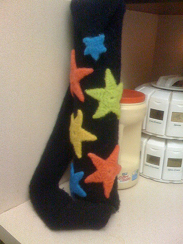 Felted Flute Bag