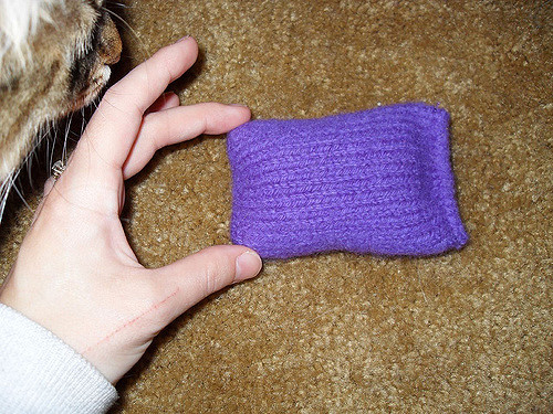 Felted Catnip Bag