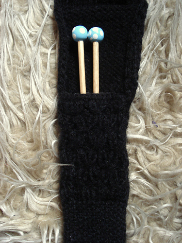 Guild of Assassins Pointy-Stick Case