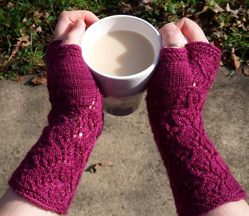 Carpe Diem, Fingerless Mitts