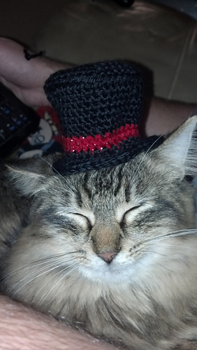 Small Top Hat
