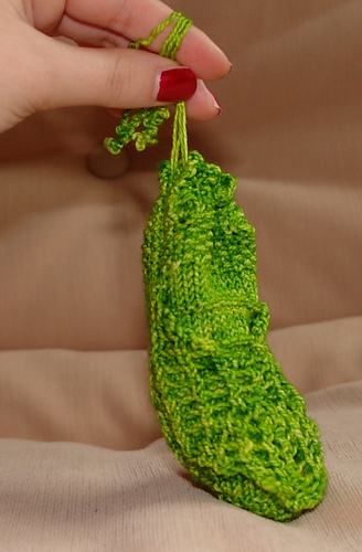 Cicada Pouch