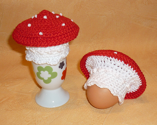 Fliegenpilz / Fly Agaric