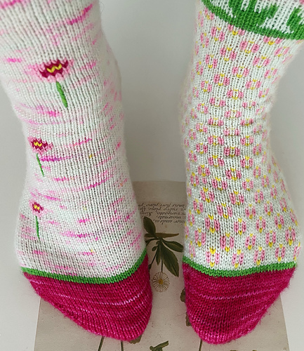 Bellis Socks