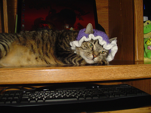 Leroy's Kitty Bonnet