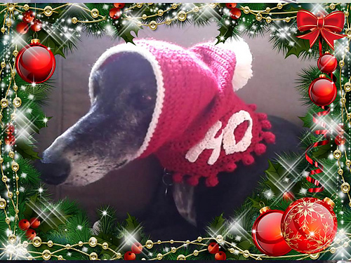 Greyhound Christmas Hat