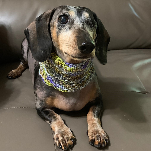 Pupper Snug Cowl