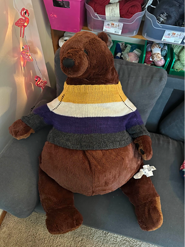 DJUNGELSKOG enby sweater