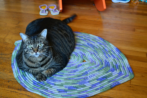 Lazy Eye Rug