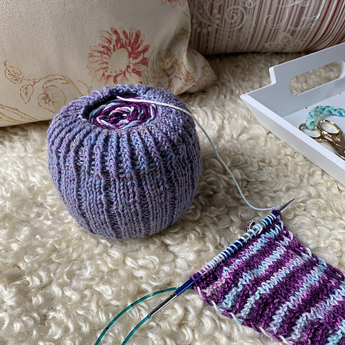 Fingering Yarn Cozy