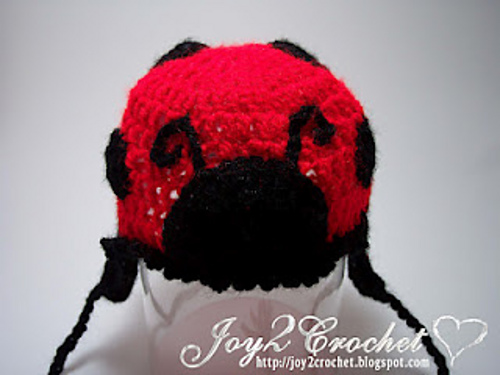 Lady Bug Baby Hat
