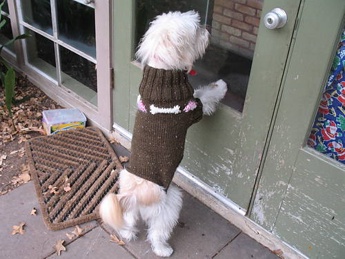 Hearts and Bones Dog Sweater