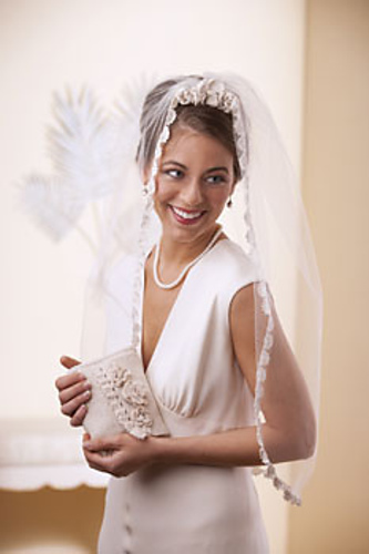 Wedding Veil and Purse: Veil