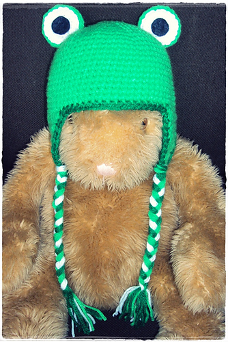 Frog Beanie with Earflaps