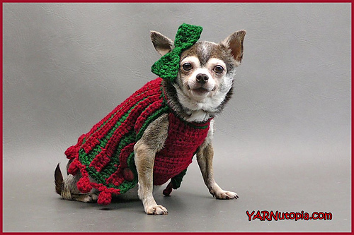 Bebe's Holiday Pet Sweater