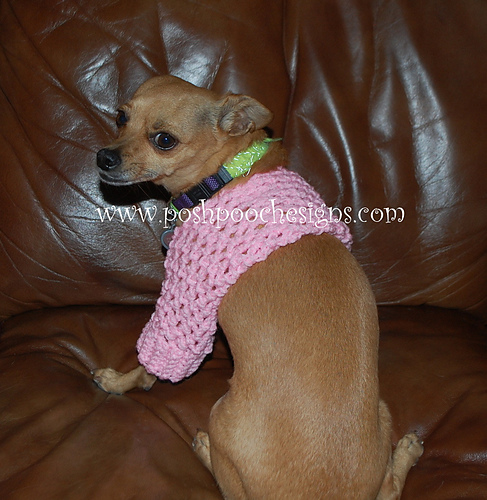 Dog Shrug for Little Dogs