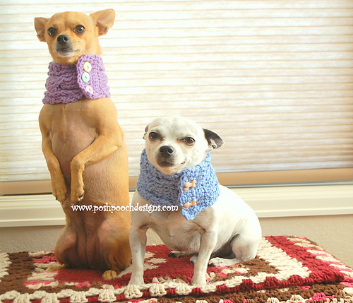 Cable Stitch Dog Cowl With Buttons