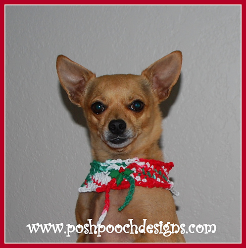 Christmas Candy Dog Cowl