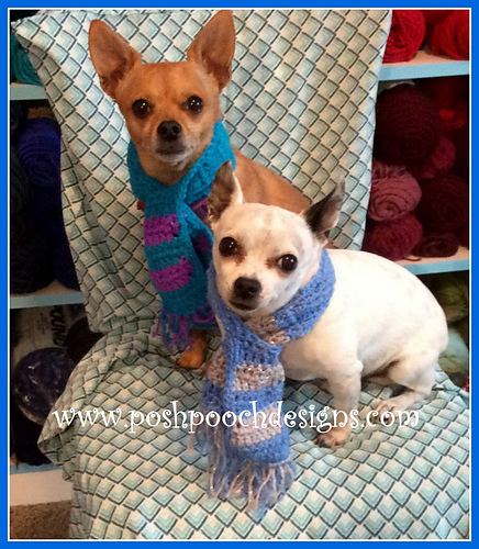 Striped Dog Scarf