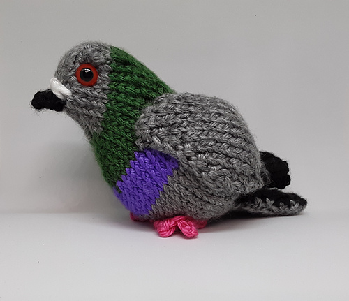 Pudgy Pigeon