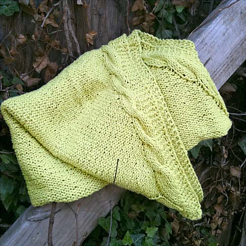Little Sprout Baby Blanket