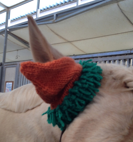Carrot Top Horse Hat