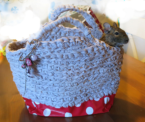 Bag Of Bergamo