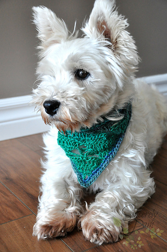 Rigby Scarf