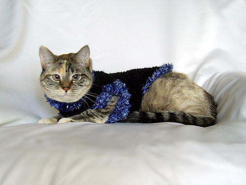Fur-Trimmed Pet Sweater