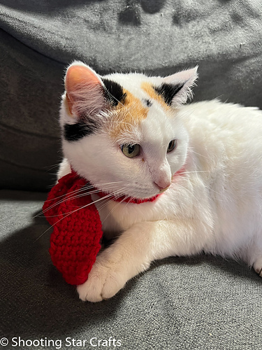Scarf for Cats