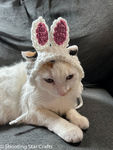 Bunny Hat for Cats