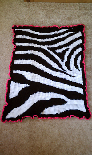 Zebra Print Baby Blanket