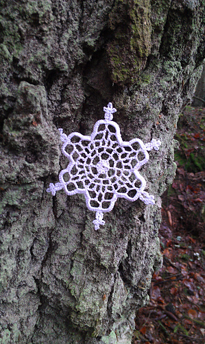 Vatnajökull Snowflake