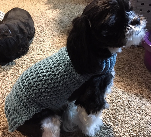 MILO Sweater