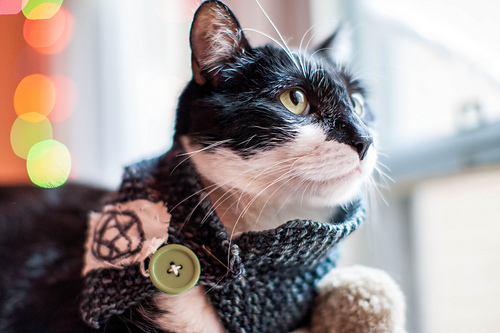 The Triangle Cowl for Tiny Creatures