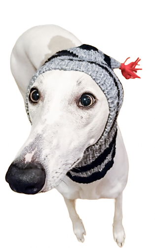 No earflap hat