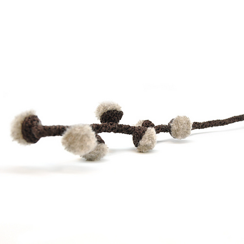Willow Catkin
