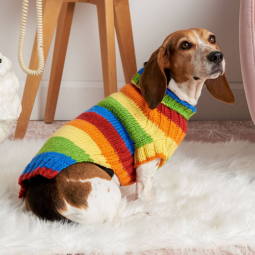 Let's Go Rib Dog Sweater