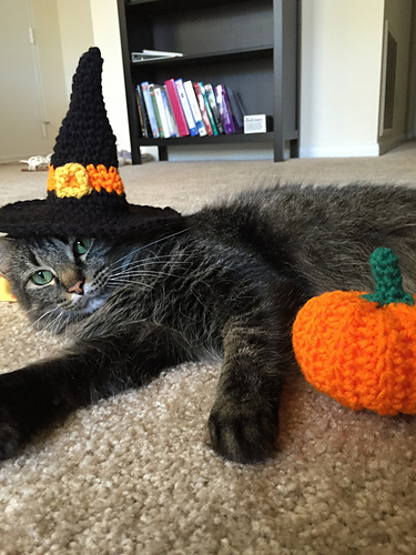 Halloween Cat Witch Hat