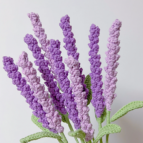 Lavender