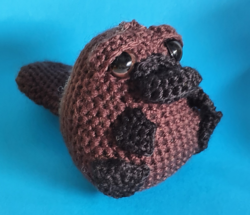 Platypus / Bunyip