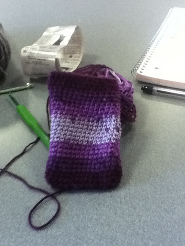 dani's device sock