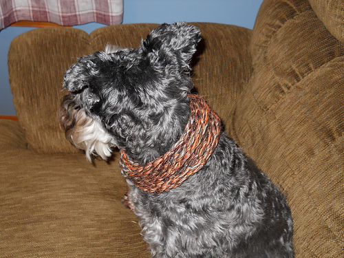 A Cowl for My Puppy (or yours)
